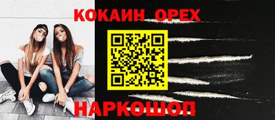 крисы Можга