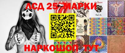 крисы Можга