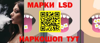 крисы Можга