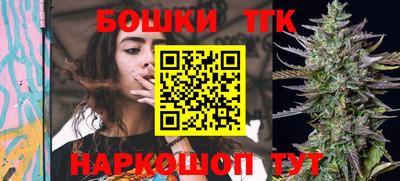 крисы Можга