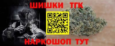 крисы Можга