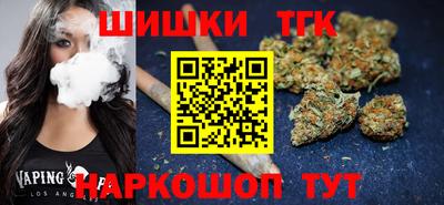 крисы Можга
