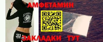 крисы Можга