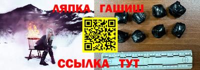 крисы Можга