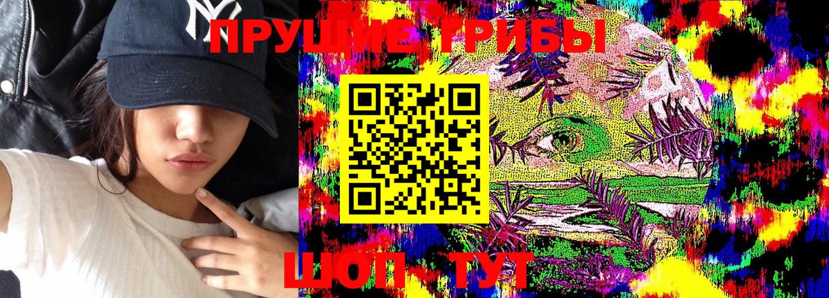 Псилоцибиновые грибы Psilocybine cubensis Соликамск